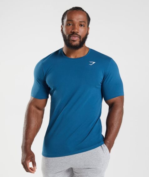 Men's Gymshark Essential T-Shirts Blue | NZ 2WOSNL